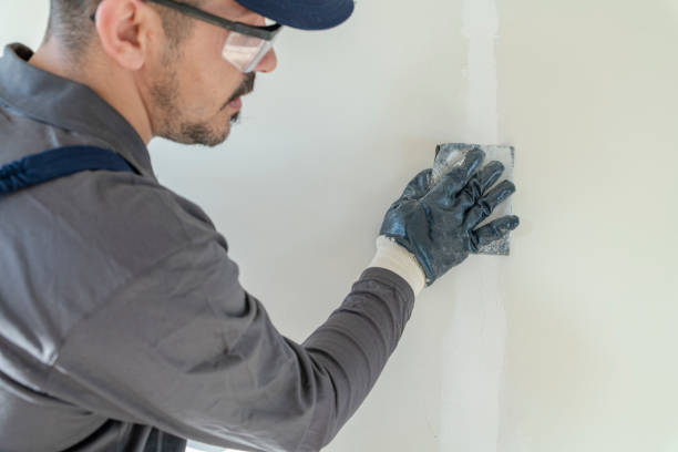 Professional Dry wall and painting in Waynesboro, GA